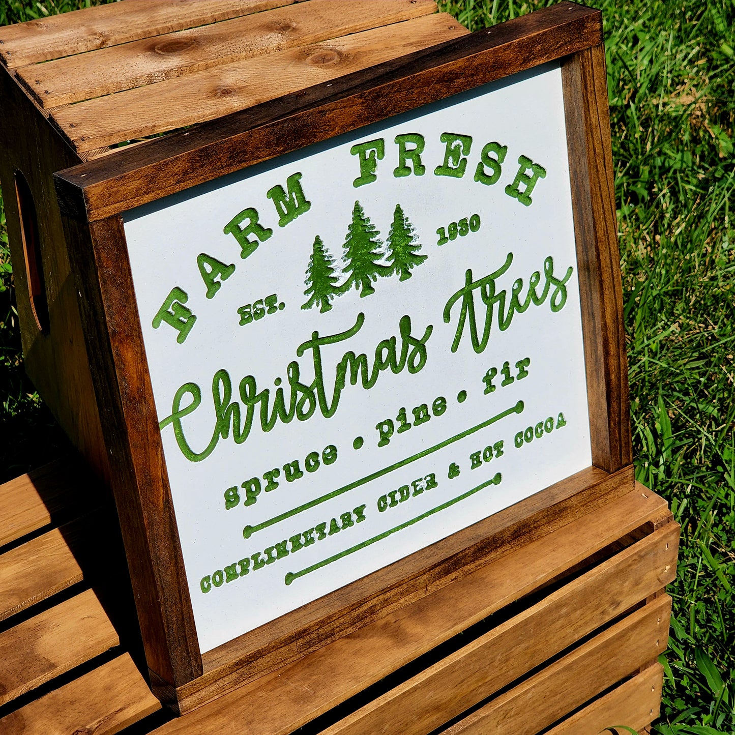 Farm Fresh Christmas Trees - Spruce Pine and Fir - Complimentary Cider and Hot Cocoa