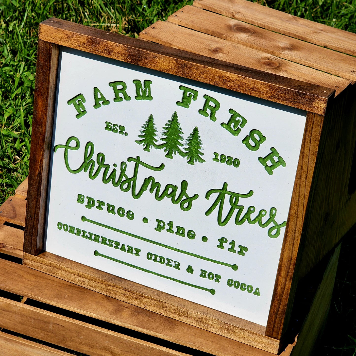 Farm Fresh Christmas Trees - Spruce Pine and Fir - Complimentary Cider and Hot Cocoa