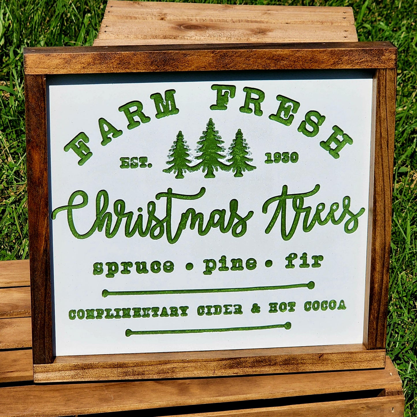 Farm Fresh Christmas Trees - Spruce Pine and Fir - Complimentary Cider and Hot Cocoa