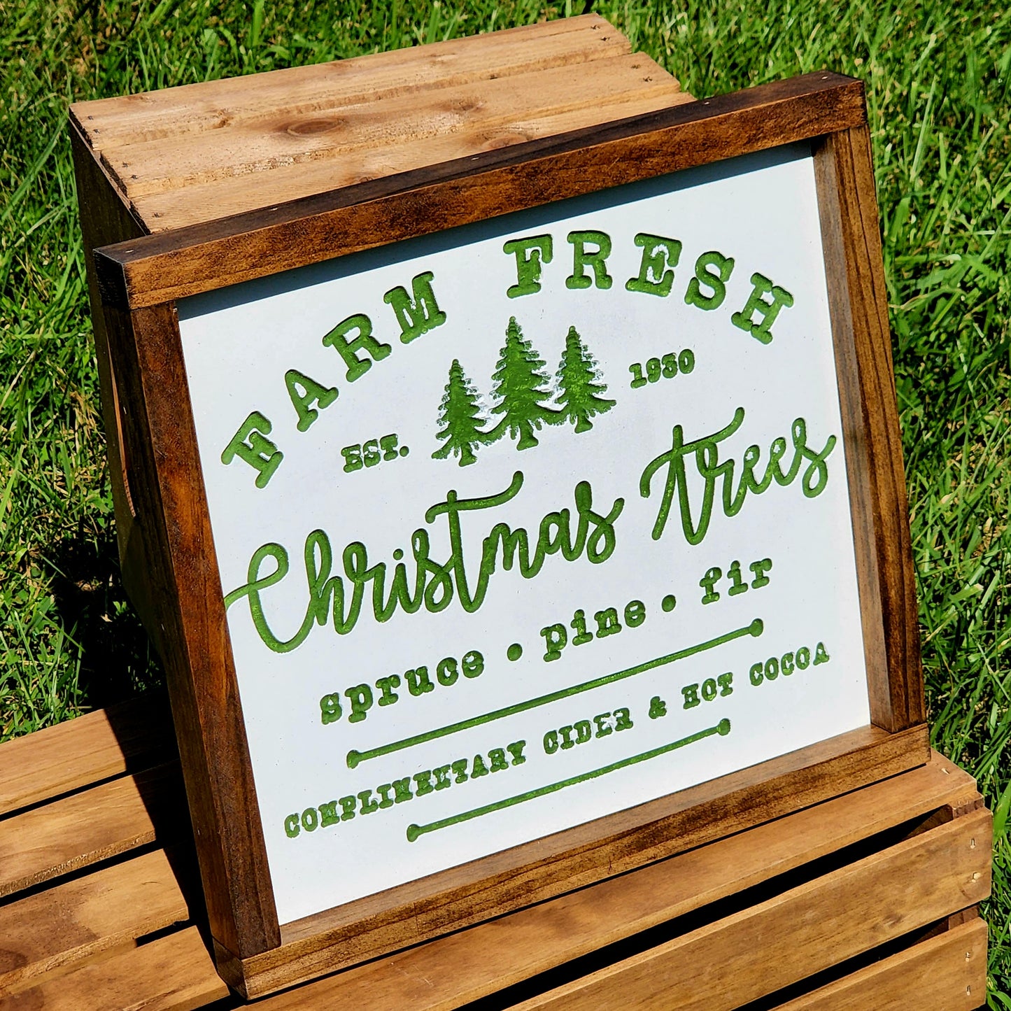 Farm Fresh Christmas Trees - Spruce Pine and Fir - Complimentary Cider and Hot Cocoa