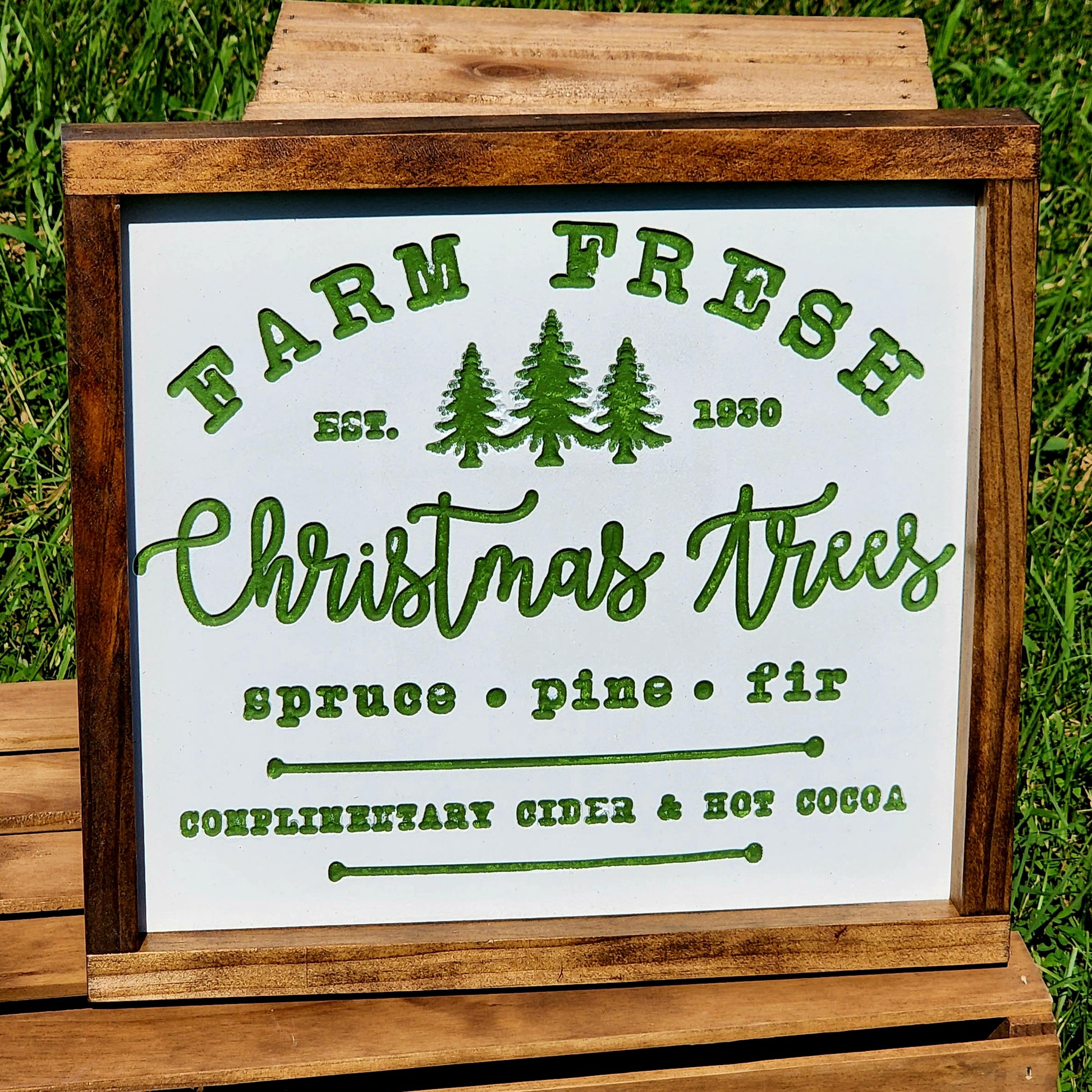Farm Fresh Christmas Trees - Spruce Pine and Fir - Complimentary Cider and Hot Cocoa
